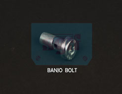 Banjo Bolt